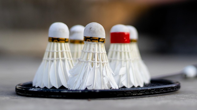 Når klubånden sejrer: De bedste traditionsrige badmintonklubber i danmark