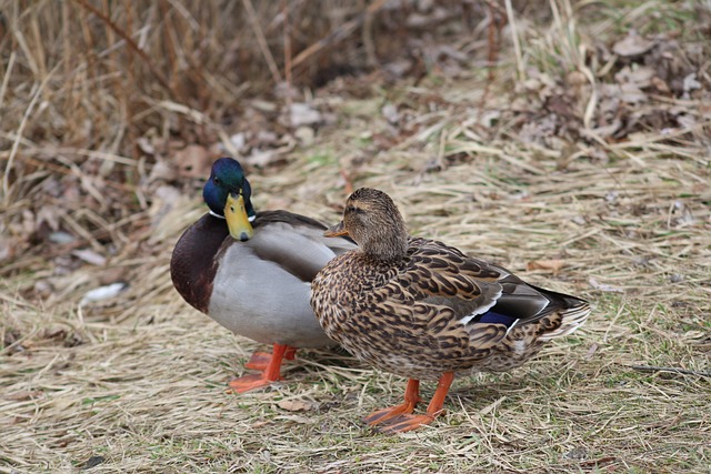 Sådan knækker du koden: 7 effektive krydsordstrategier
